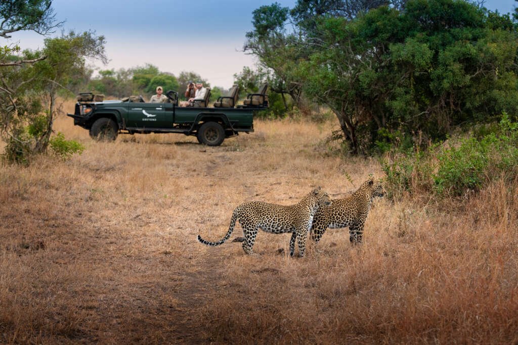 Phinda Private Game Reserve © andBeyond